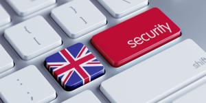 Cyber Security support