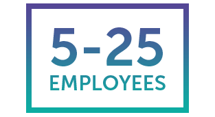 5-25-employees